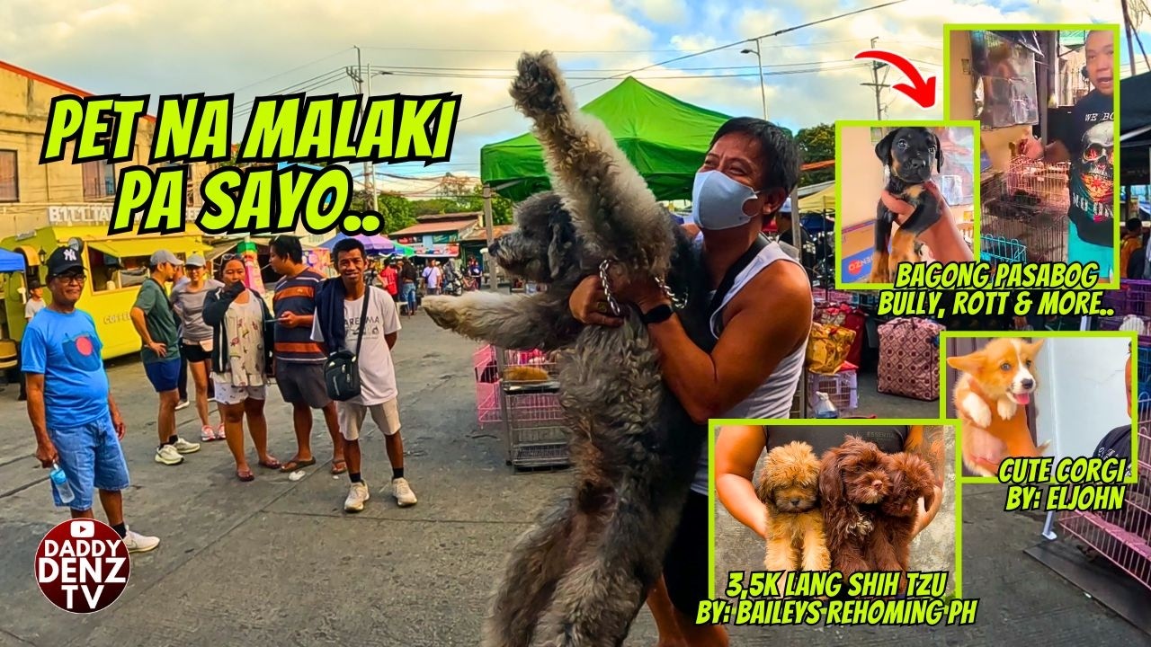 GANITO DIN ITSURA NG ALAGA NI ATE SHAWEE.. / MAR. 8 @GROTTO PETS & LIVESTOCK MARKET