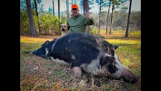 Bacon From A Giant Wild Razorback Catch Clean Cook This Hog Was Massive