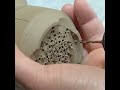 From Clay to Beautiful Teapot- Amazing Pottery Process BW