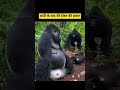 ##funnyshortsvideo##