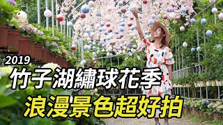 2019竹子湖繡球花季浪漫登場｜產業局帶你上陽明山當網美 ...