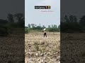 kite fighting # short # video # kite # viralshort # trending # short # kitev # kite # video # kite 🪁