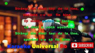 Video thumbnail of "Puiu Fagarasanu   Banilor puterea voastra Karaoke Universal Ro"