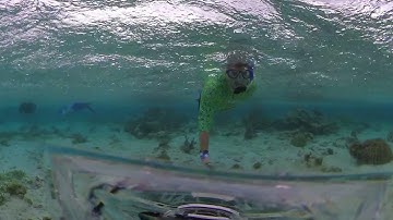 Belize 2021 Insta 360 Dive case