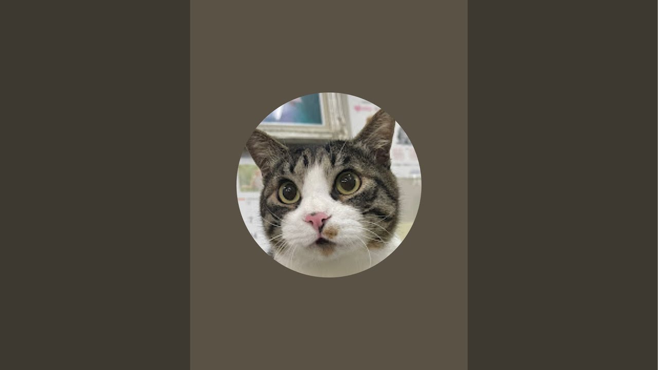 とも君の のんびりリハビリ生活 -Tomo's rehab life - がライブ配信中！