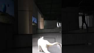 이응노의집 창작스튜디오 영상