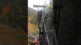 Archery Elk #hunting #outdoors #bowhunting