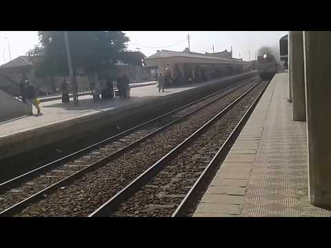 قطار VIP مرورا بمحطة ايتاي البارود أسرع قطار في مصر