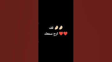 قف استمع قران كريم ❤️❤️💝