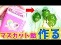 おもちゃの洗濯機でシャインマスカット飴をつくった結果... #Shorts