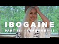 MY IBOGA JOURNEY - Pt.3 / Second Ceremony