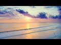 Relaxing music for yoga soothing music for stress relief meditation massage spa healing therapy