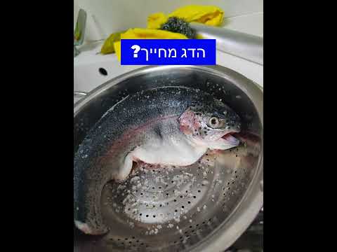 וִידֵאוֹ: הזנה לפורל: הרכב, תכונות ושלבי האכלה