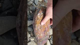 Beautiful Jasper I Found In A River Bed