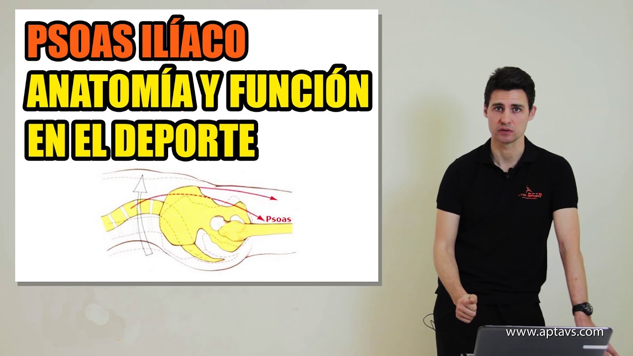 MÚSCULO PSOAS ILÍACO | FUNCIÓN, ANATOMÍA y CÓMO ESTIRARLO - YouTube
