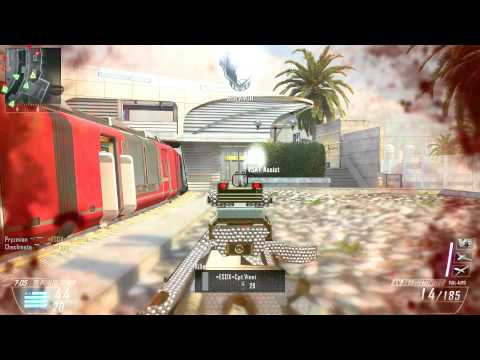 How To Gain High FPS In Call Of Duty Black Ops 2 ( Pc ...