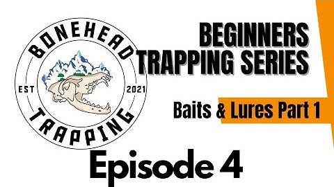 What Type Of Lure Should I Use For Trapping? (Beginners Trapping Series)
