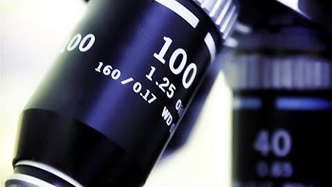 How To Be A Qualified Forensic Scientist