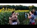 Sunflowers - Stone Bank Elementary School Oconomowoc WI Thank You