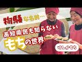 けんかもち（高知県香美市）