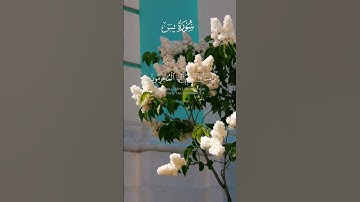 سورة ياسين تلاوت قرآن الكريم #قرآن_كريم #تلاوة #سورة #سبحان_الله #صباح_الخير #راحة_نفسية #رمضان