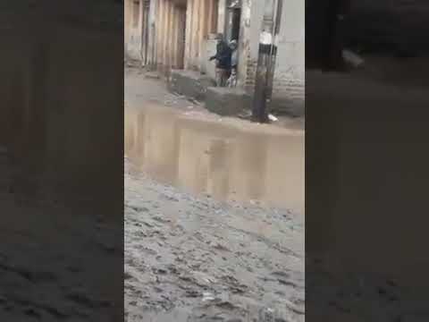 صعق كلب من عمود الكهرباء بسبب الامطار لا حول ولا قوة الا بالله