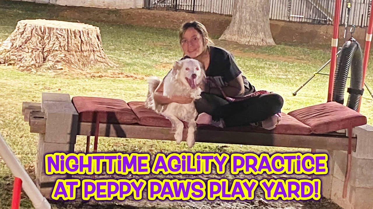 Nighttime Agility Practice at Peppy Paws Play Yard!