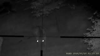 20200529 Kronvildt video 2