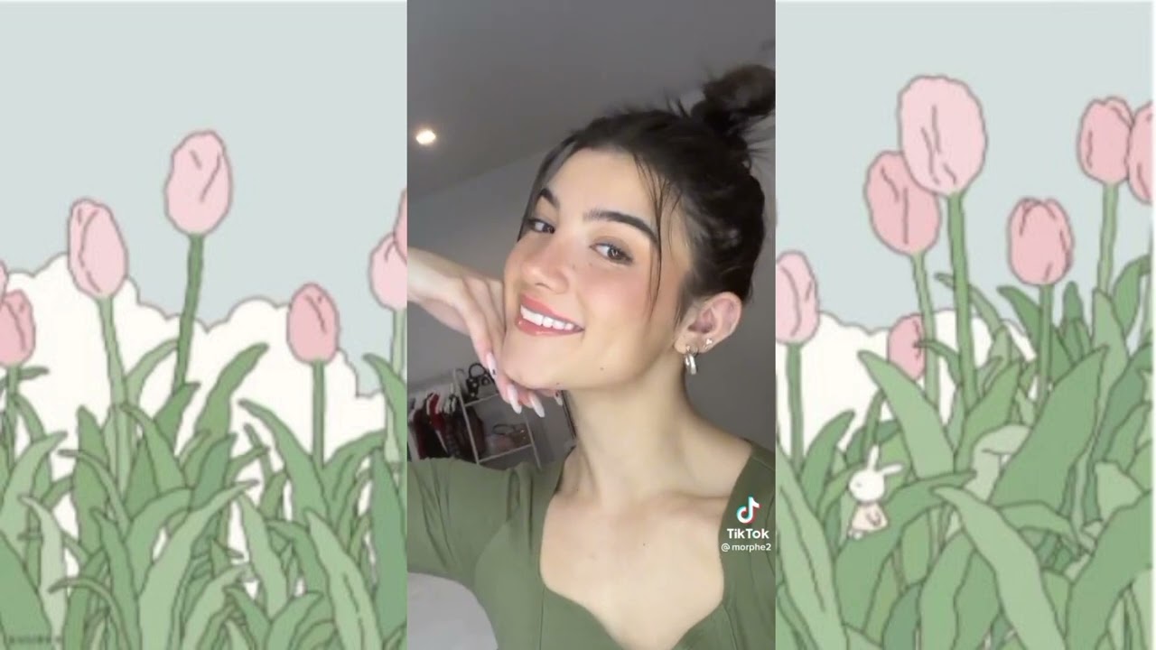 Morphe 2 tik tok compilation!