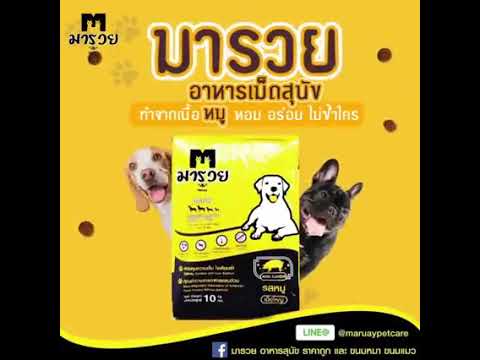 มารวย อาหารสุนัข – แมว ราคาถูก | สรุปข้อมูลขาย อาหาร แมว ราคา ถูกล่าสุด