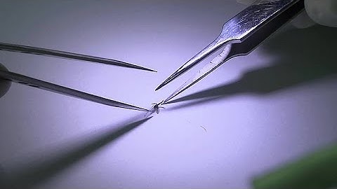 Scientists are manipulating the DNA of mosquitoes to fight the spread of malaria