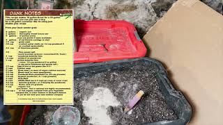 Super Soil 3