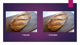 Vervoegen Meervouden Op -En En -S