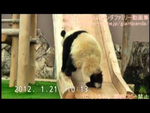 あれ？滑れないよ～(2012.01.21)～Why? I can't slide!!
