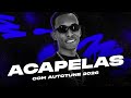 MC MN - Acapelas Vocal com Autotune Para DJ Produtor 2026