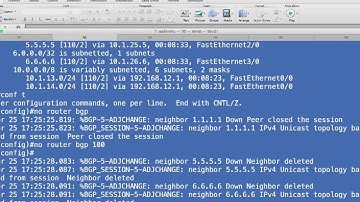 BGP Route Reflector - Tutorial