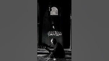 ما تيسر من سورة الشعراء | محمود بكري #قرآن_كريم #تلاوة #سورة_الشعراء #مسلم #ترند #الشعراء #آية #قرآن