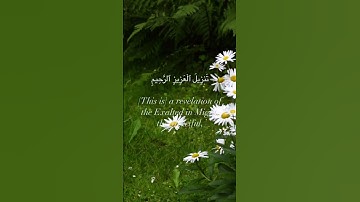 ترتيل هادئ يريح القلب من سورة يس from Yā, seen soura #nature #holy_quran #islam