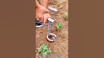 Excellent seedling transplanting tool. #tools #work #farming #agriculture