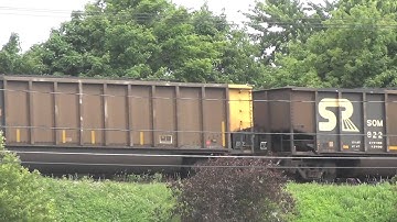 CSX #699 Diversity In Motion Leads D289 Coal Train