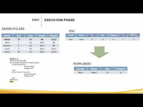 The SAS Program Data Vector : step by step