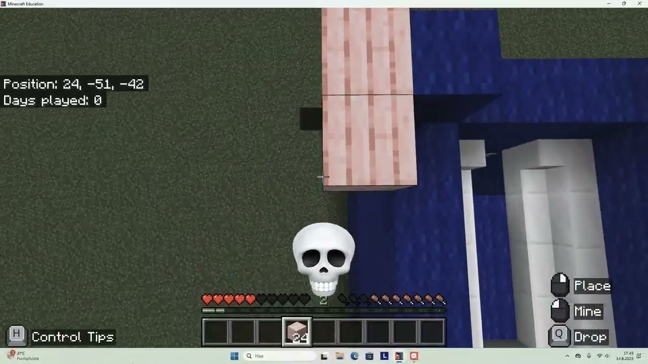 My best minecraft bridge💀 