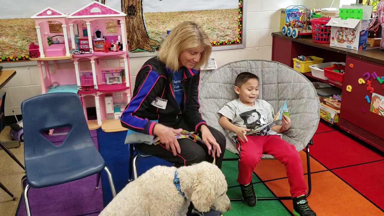Fort Salonga Elementary School Ken Reading to Dogs YouTube