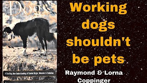 Working Dogs as pets, breeding standards. Raymond ...