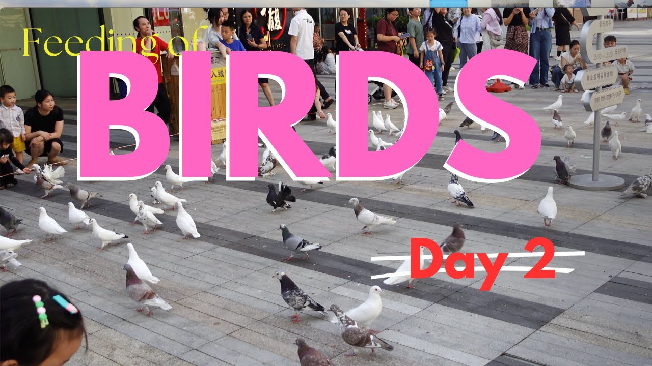 GOPLUS Armadio Portagiochi Per Bambini, Organizzatore Di Giocattoli Con - Foto 2