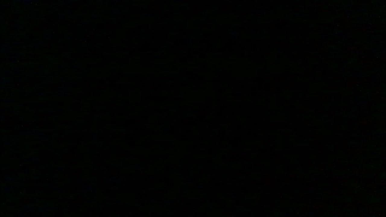 Laurie Berkner Under A Shady Tree YouTube