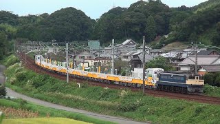 ♯188【JR東日本・JR貨物・甲種輸送】EF65-2074牽引の8862レ キヤE195系ロンキヤ