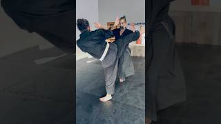 Aikido Techniques Against Kicks 🙏 Resimi