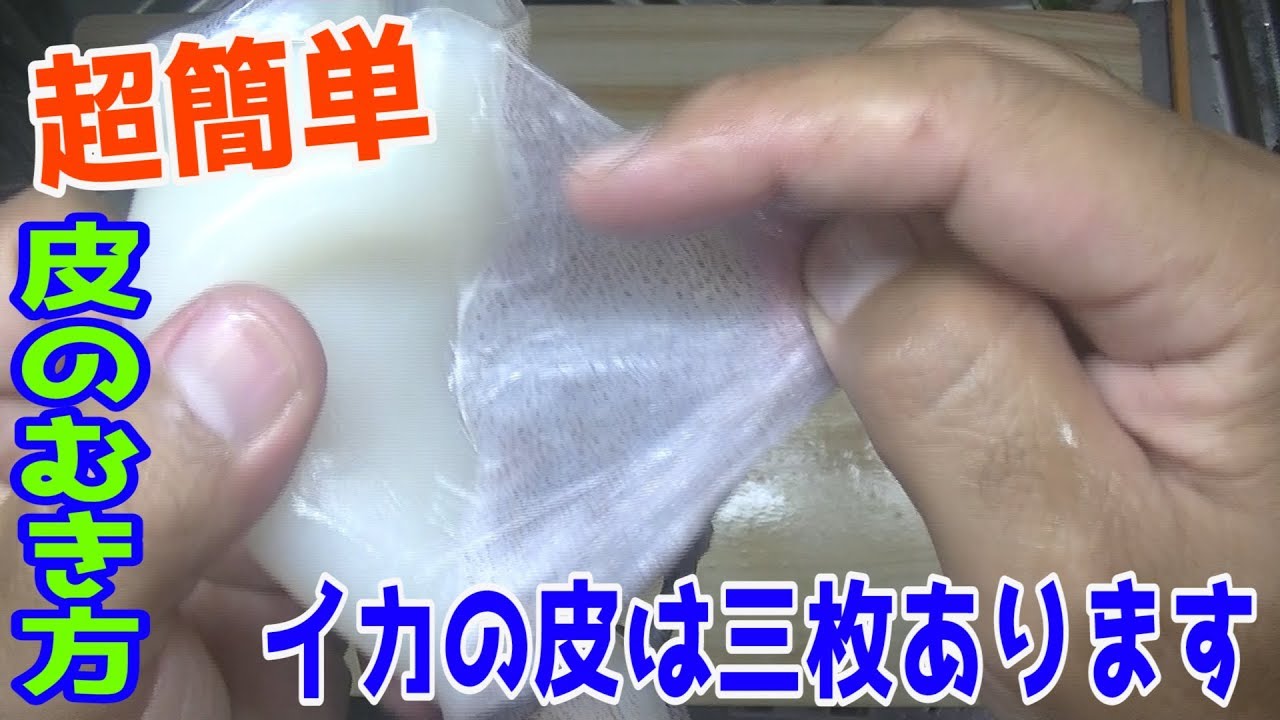 イカの皮のむき方 簡単 Episode11 Youtube イカの皮のむき方 簡単 Episode11 Youtube