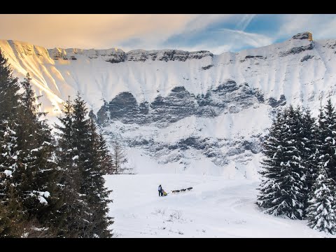 Miniature de la vidéo